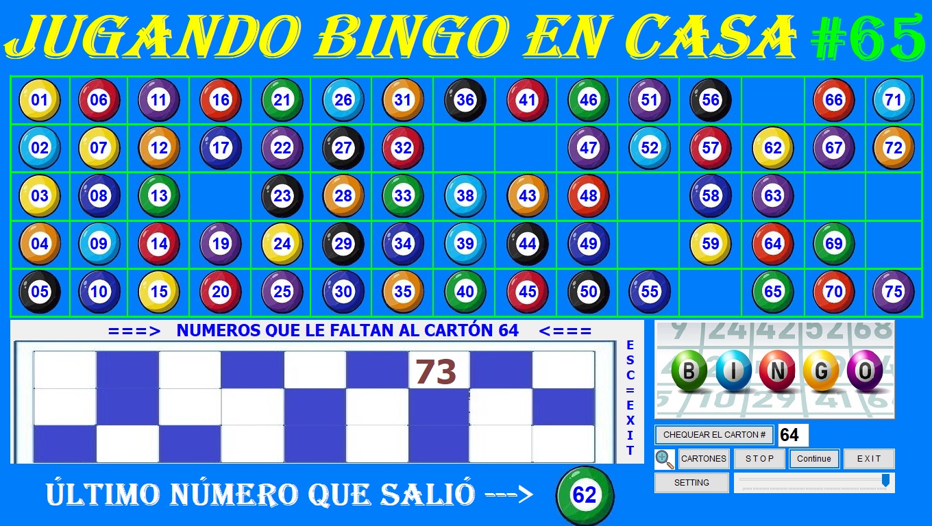 BINGO INCOMPLETO CARTON 64.jpg