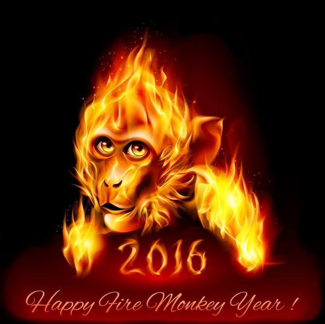 Happy Fire Monkey Year !